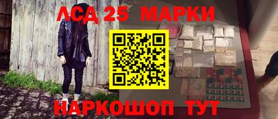 индика Аргун
