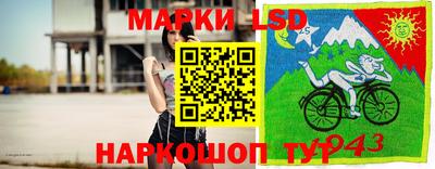 индика Аргун