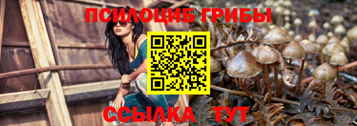 Псилоцибиновые грибы Magic Shrooms  Вход с VPN  Артём 